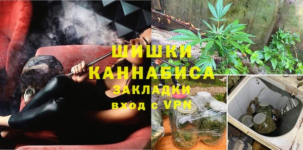 прущие грибы Армянск