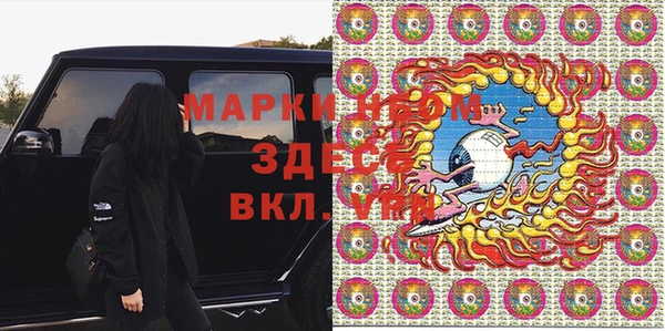 индика Баксан