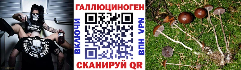 Галлюциногенные грибы Psilocybine cubensis  Купить закладки  Спасск-Рязанский 